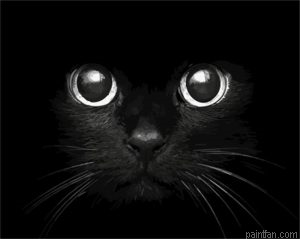 Cat Eyes Paint By Numbers.png