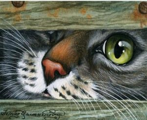 Cat Hiding Paint By Numbers.png