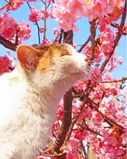 Cat In Cherry Tree Paint By Numbers.png