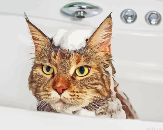 Cat In Shower Paint By Numbers.png