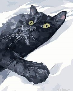 Cat In Snow Paint By Numbers.png