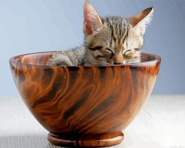 Cat In Wooden Tea Cup Paint By Numbers.png