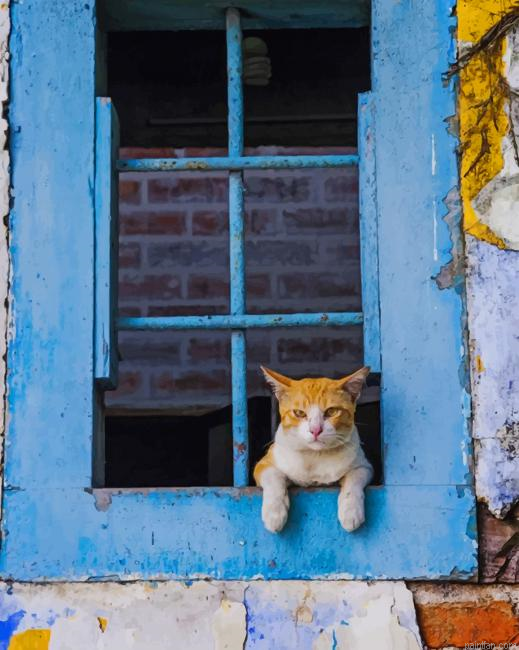 Cat Looking Through A Blue Window New Paint By Numbers.png