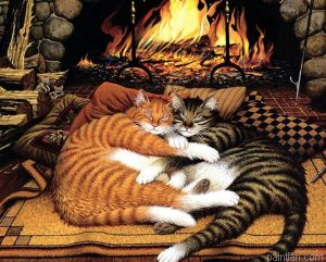Cat Lovers Paint By Numbers.png