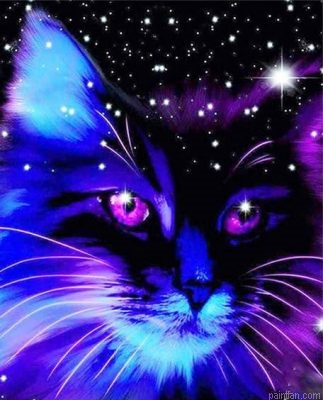 Cat Night Paint By Numbers.png