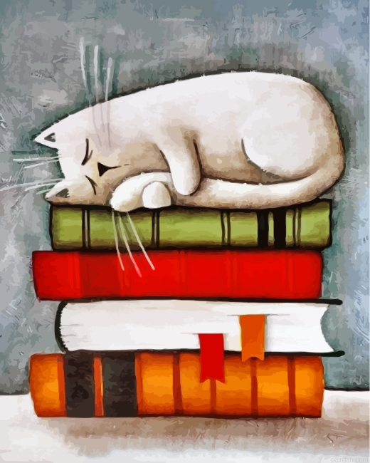 Cat On Books Paint By Number.png