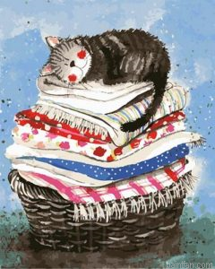 Cat On Towels Paint By Numbers.png