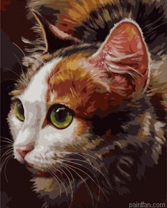Cat Paint By Numbers.png