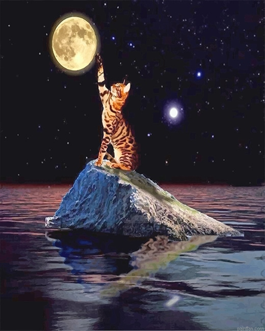 Cat Touching Moon New Paint By Numbers.png
