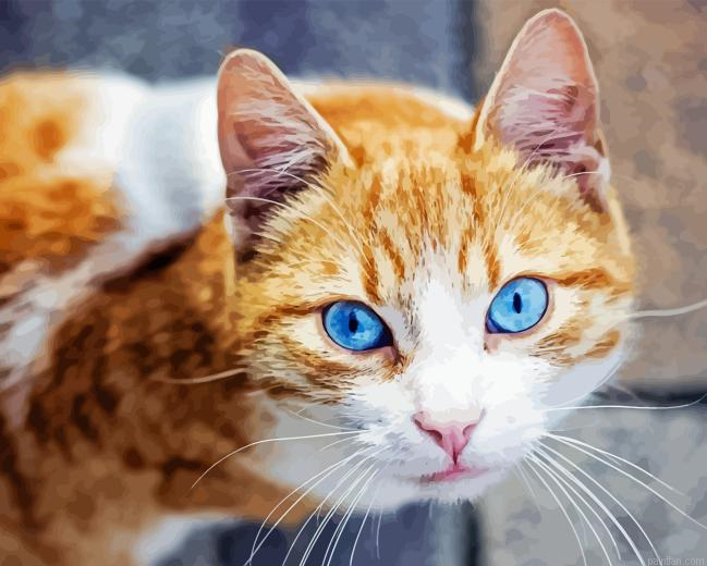 Cat With Blue Eyes Paint By Numbers.png
