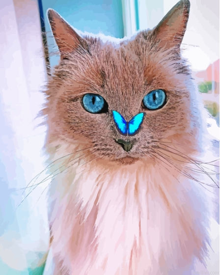 Cat With Butterfly Paint By Numbers.png