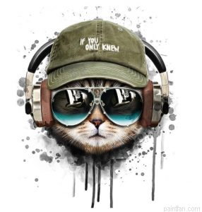 Cat With Headphones Paint By Numbers.png