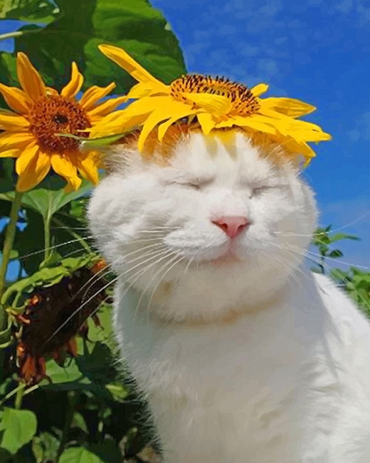 Cat With Sun Flowers New Paint By Numbers.png