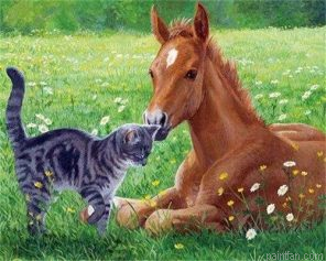 Cat And Horse Paint By Numbers.png