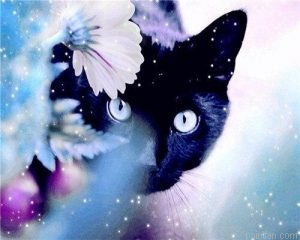 Cat In Flowers Paint By Numbers.png