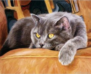 Cat On Couch Paint By Numbers.png