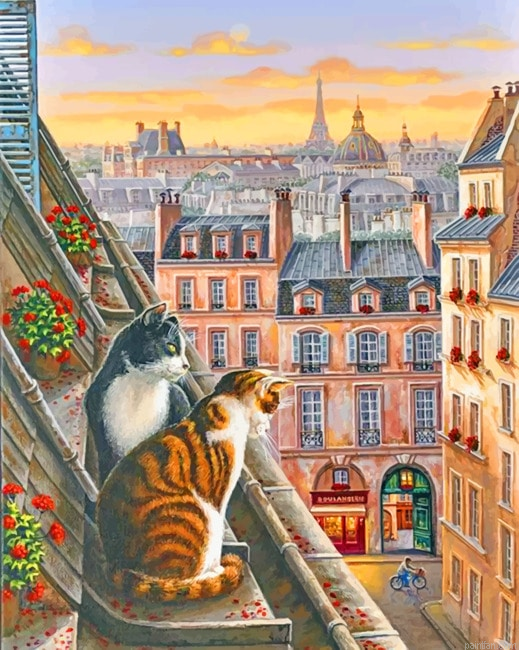 Cats Animals Paint By Numbers.png