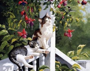 Cats Resting Paint By Numbers.png
