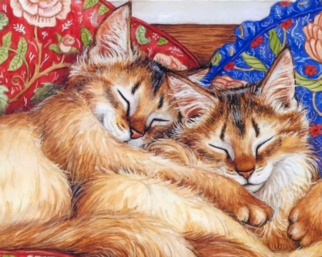 Cats Sleeping Paint By Number.png
