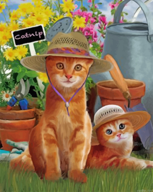 Cats Wearing Sunhats Paint By Numbers.png