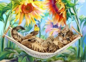 Cats In Hammock Paint By Numbers.png