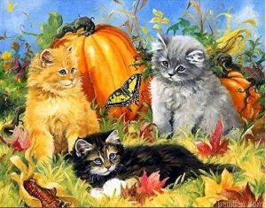 Cats With Pumpkin Paint By Numbers.png
