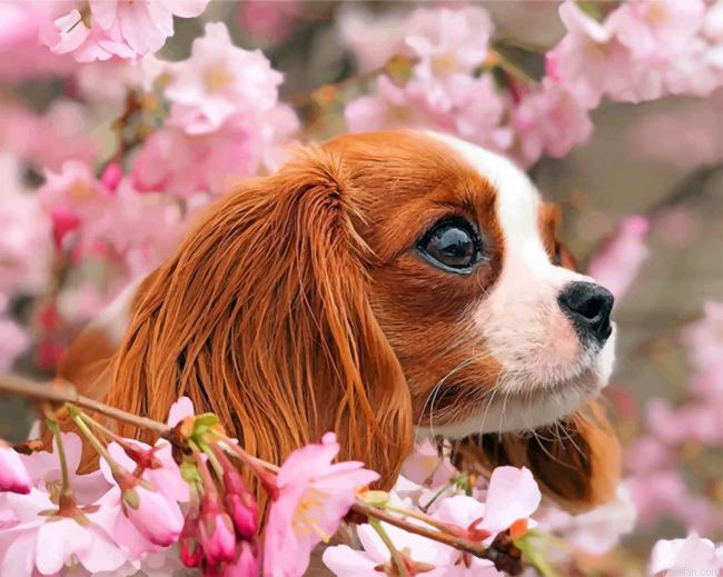 Cavalier Puppy And Blossoms Paint By Number.png