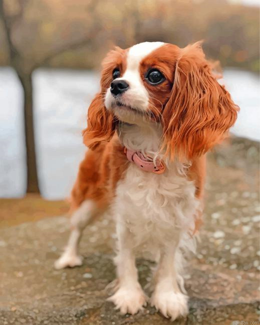 Cavalier Puppy Paint By Number.png