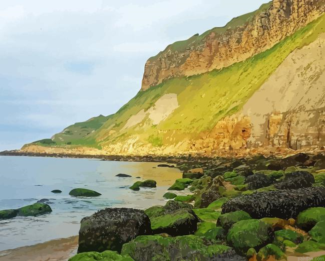 Cayton Bay Paint By Numbers.png