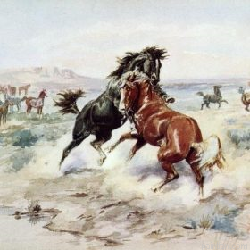 Challenge Between Horses Paint By Numbers.png