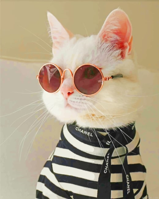 Chanel Cat New Paint By Numbers.png