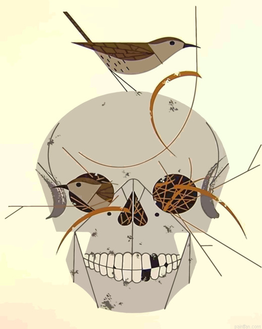 Charley Harper Skull Paint By Numbers.png