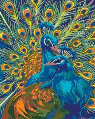 Charming Peacock Paint By Numbers.png