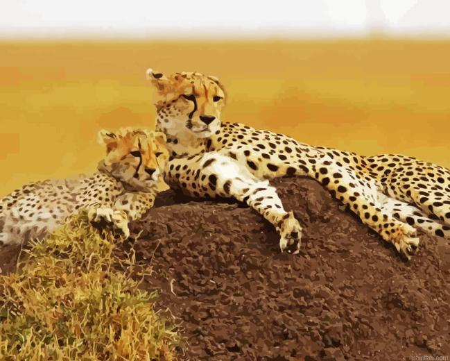 Cheetah And Cubs Paint By Numbers.png