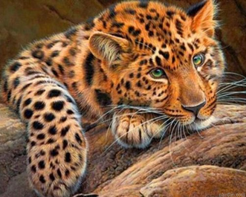 Cheetah Eyes Paint By Numbers.png
