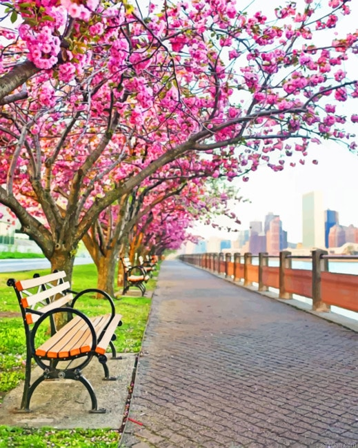 Cherry Blossom Nyc Cities Paint By Numbers.png