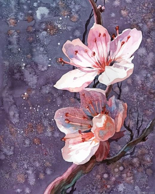 Cherry Blossoms Paint By Numbers.png