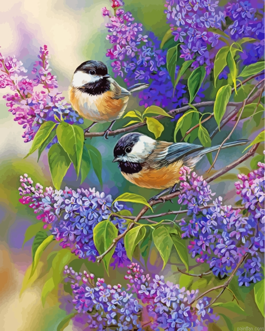 Chickadees And Lilacs Paint By Number.png
