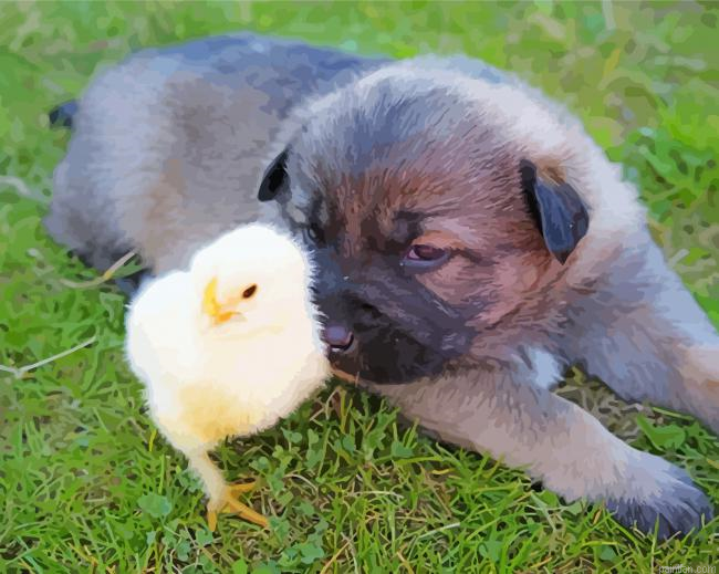 Chicken With Cute Puppy Paint By Numbers.png