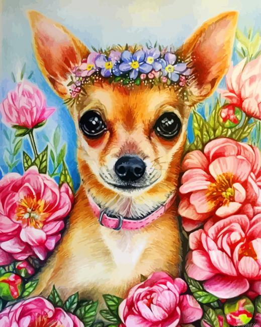 Chihuahua Dog Paint By Number.png