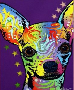 Chihuahua Paint By Numbers.png