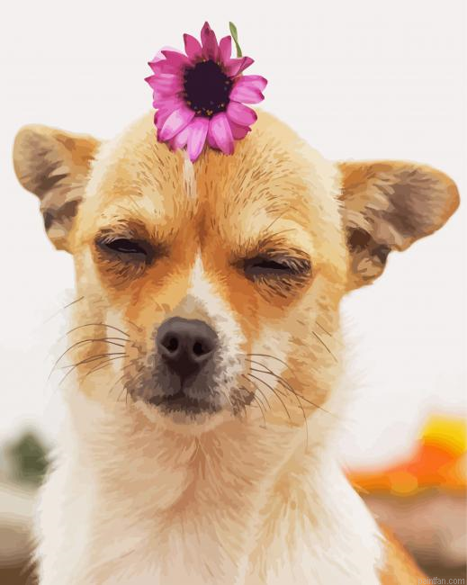 Chihuahua With Flower Paint By Numbers.png