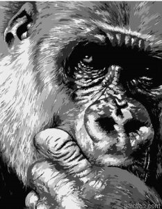 Chimpanzee Animals Paint By Numbers.png