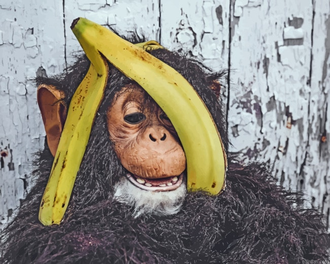 Chimpanzee With Banana Paint By Number.png