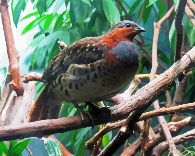 Chinese Bamboo Partridge Paint By Numbers.png