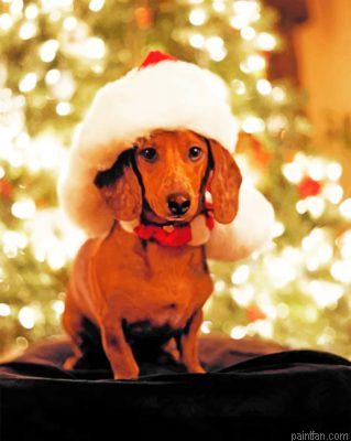 Christmas Dachshund Paint By Number.png