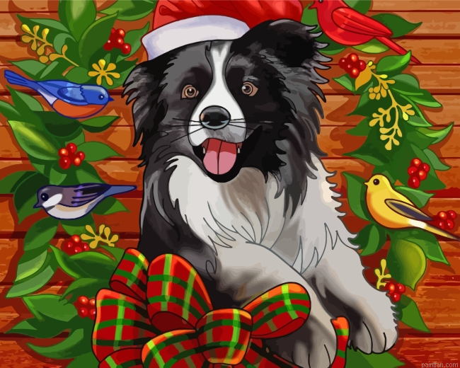 Christmas Dog Paint By Number.png
