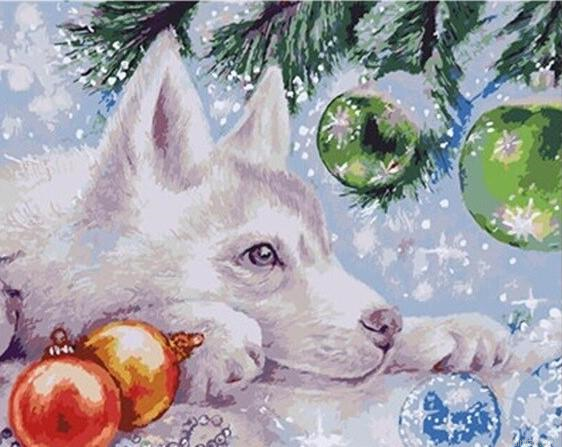 Christmas Husky Paint By Numbers.png