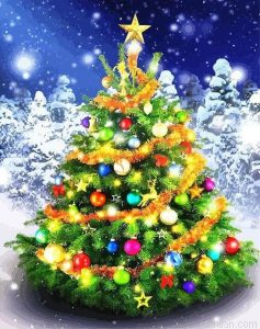 Christmas Trees Paint By Numbers.png