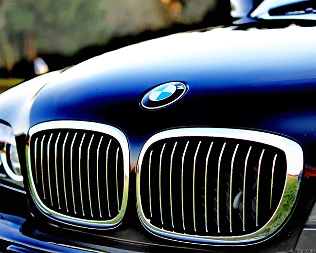 Chrome Bmw Grille New Paint By Numbers.png